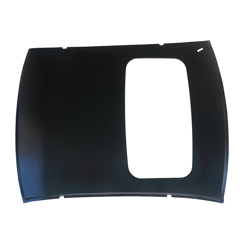 2009 Focus Tak Med Skylight Sedan